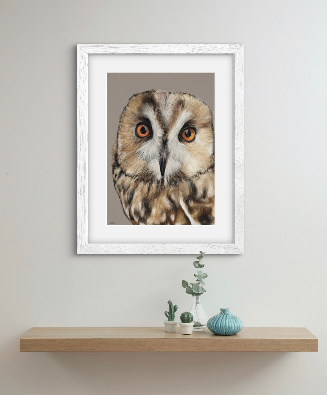 Little Owl