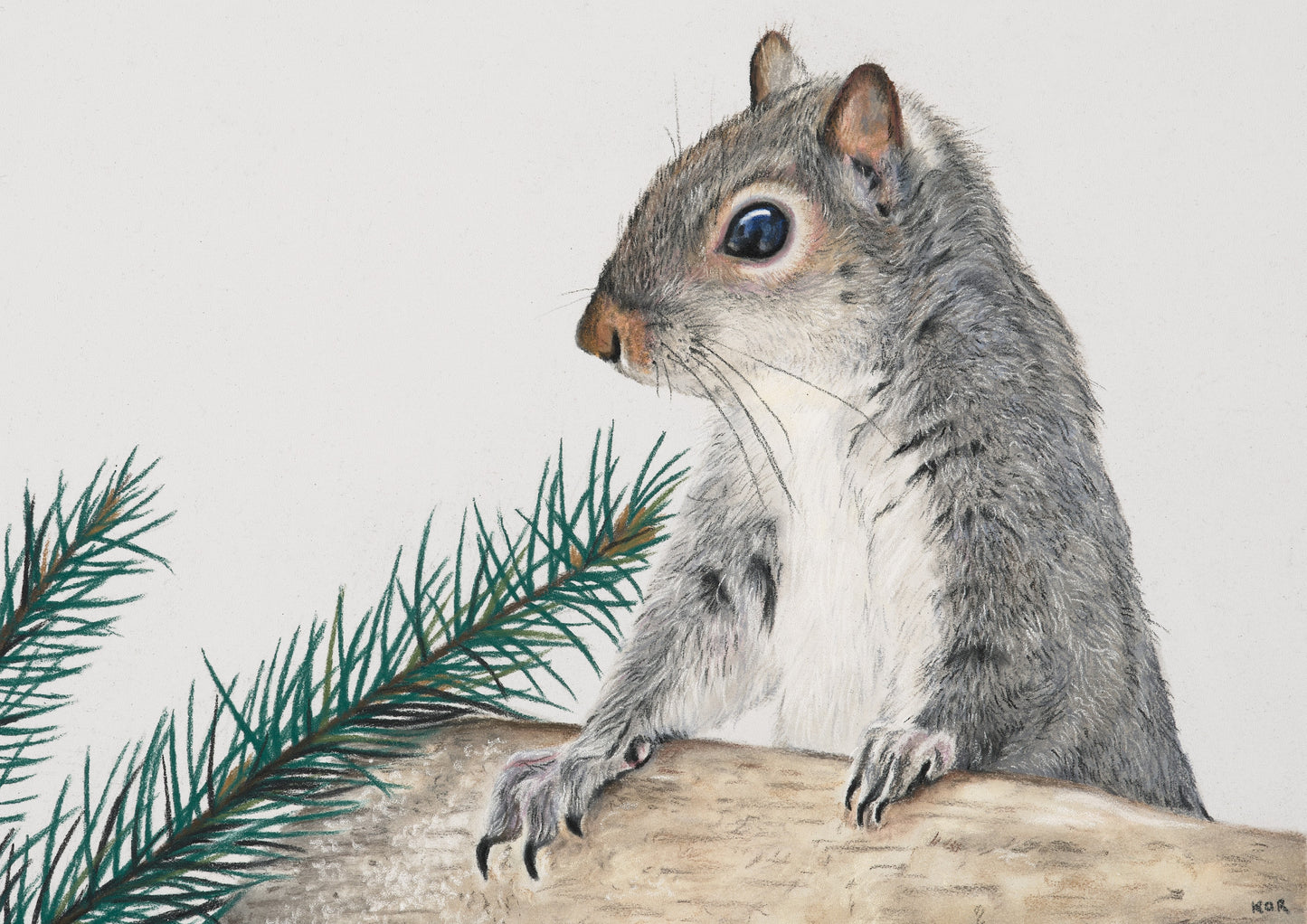 Nuts the Squirrel