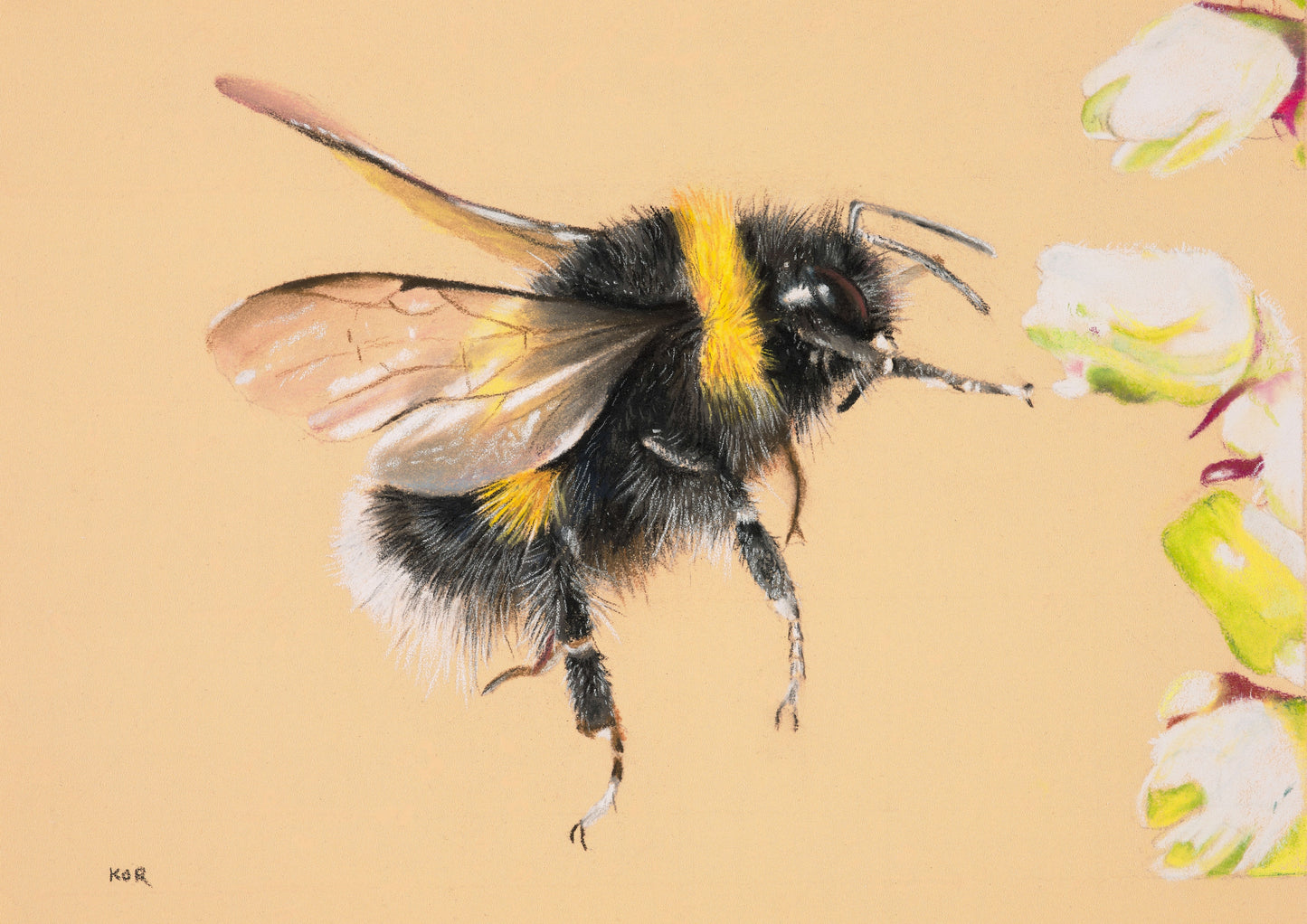 Bob the Bumblebee