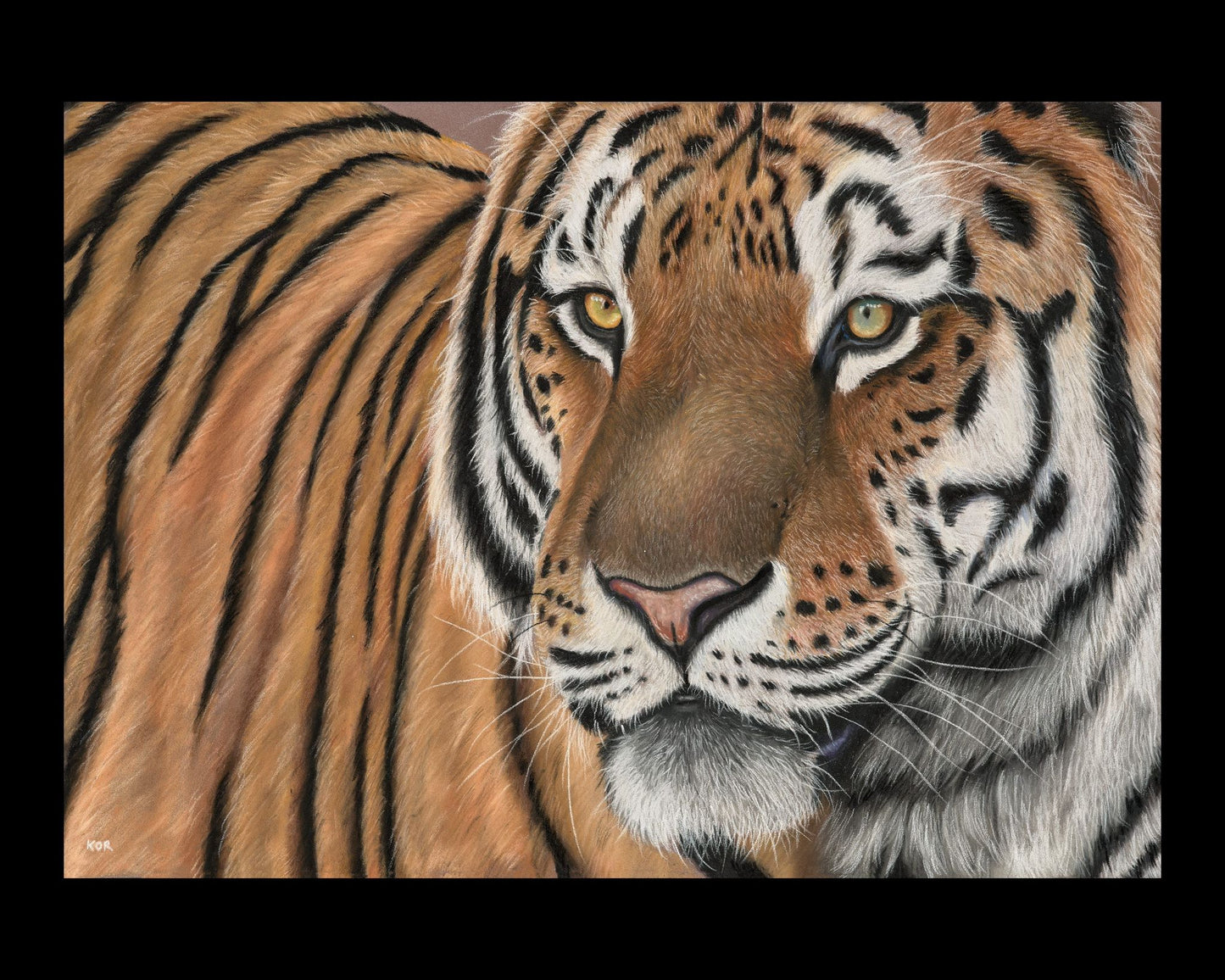 Terry the Tiger