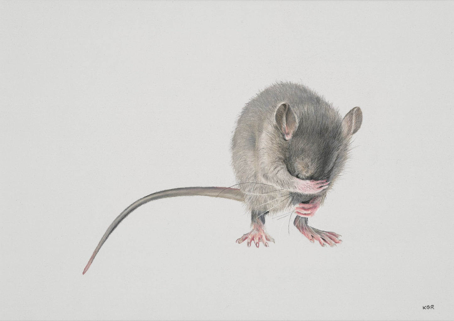 Ronnie the Rodent