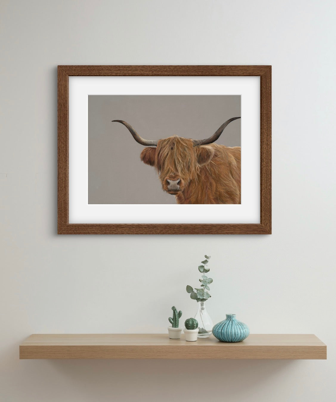 Hamish the highland Cow