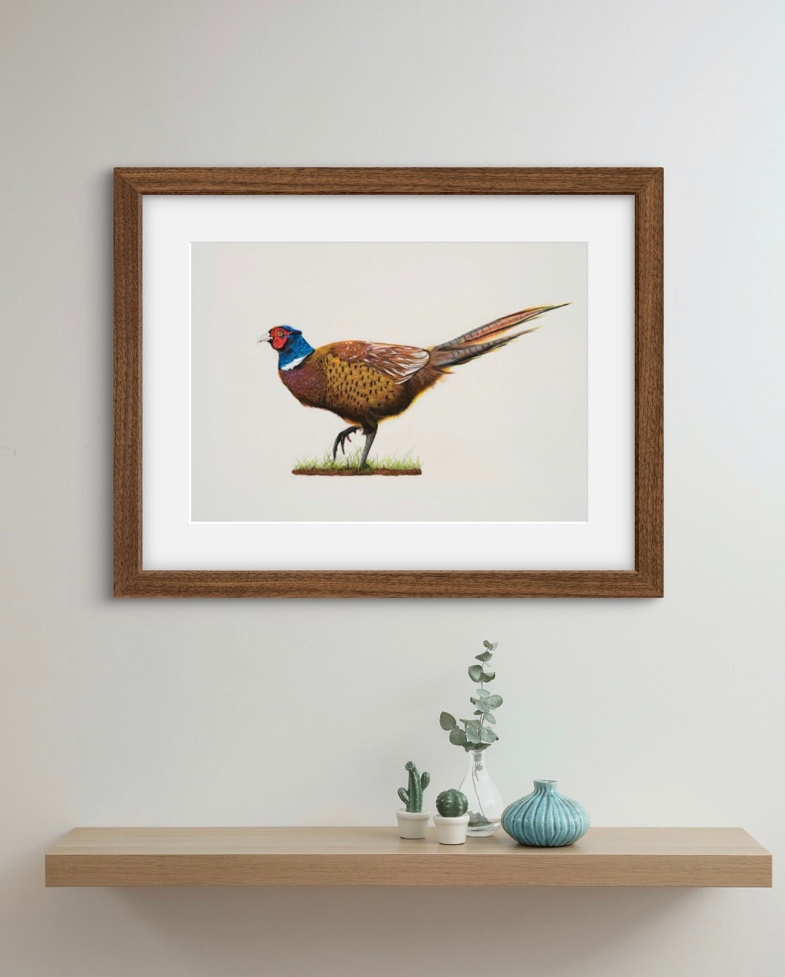 Maverick the Pheasant