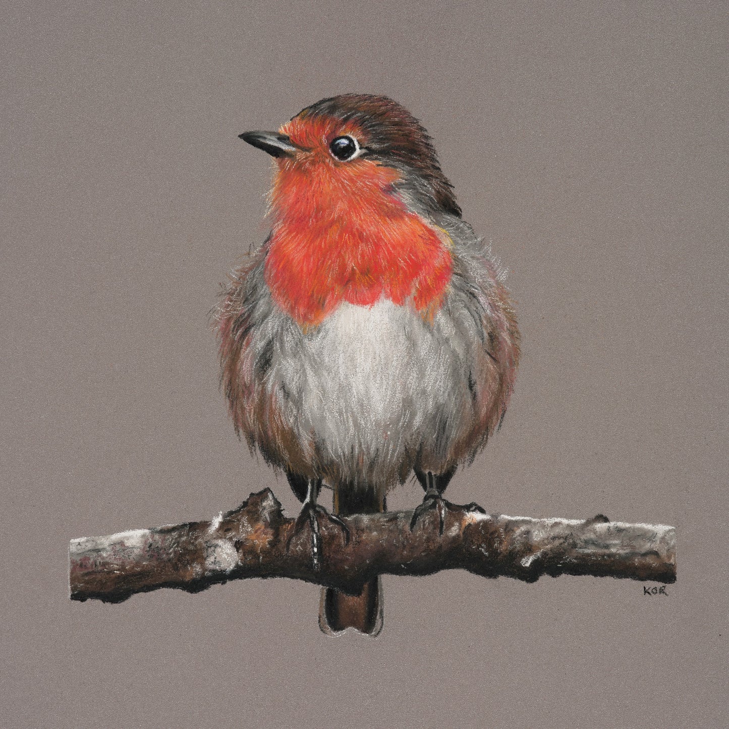 Reggie the Robin