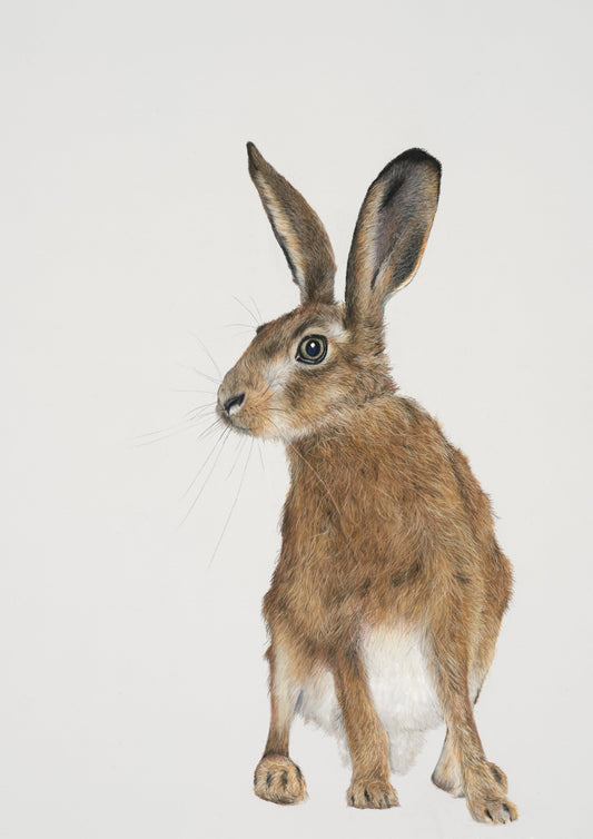 Bramble the Brown Hare